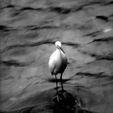 Lade das Bild in den Galerie-Viewer, TUSHITA GALLERY Qi GONG GESCHENKKARTE