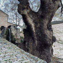 Lade das Bild in den Galerie-Viewer, COLD