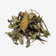 Lade das Bild in den Galerie-Viewer, WANG MU PFIRSICHBLÜTEN