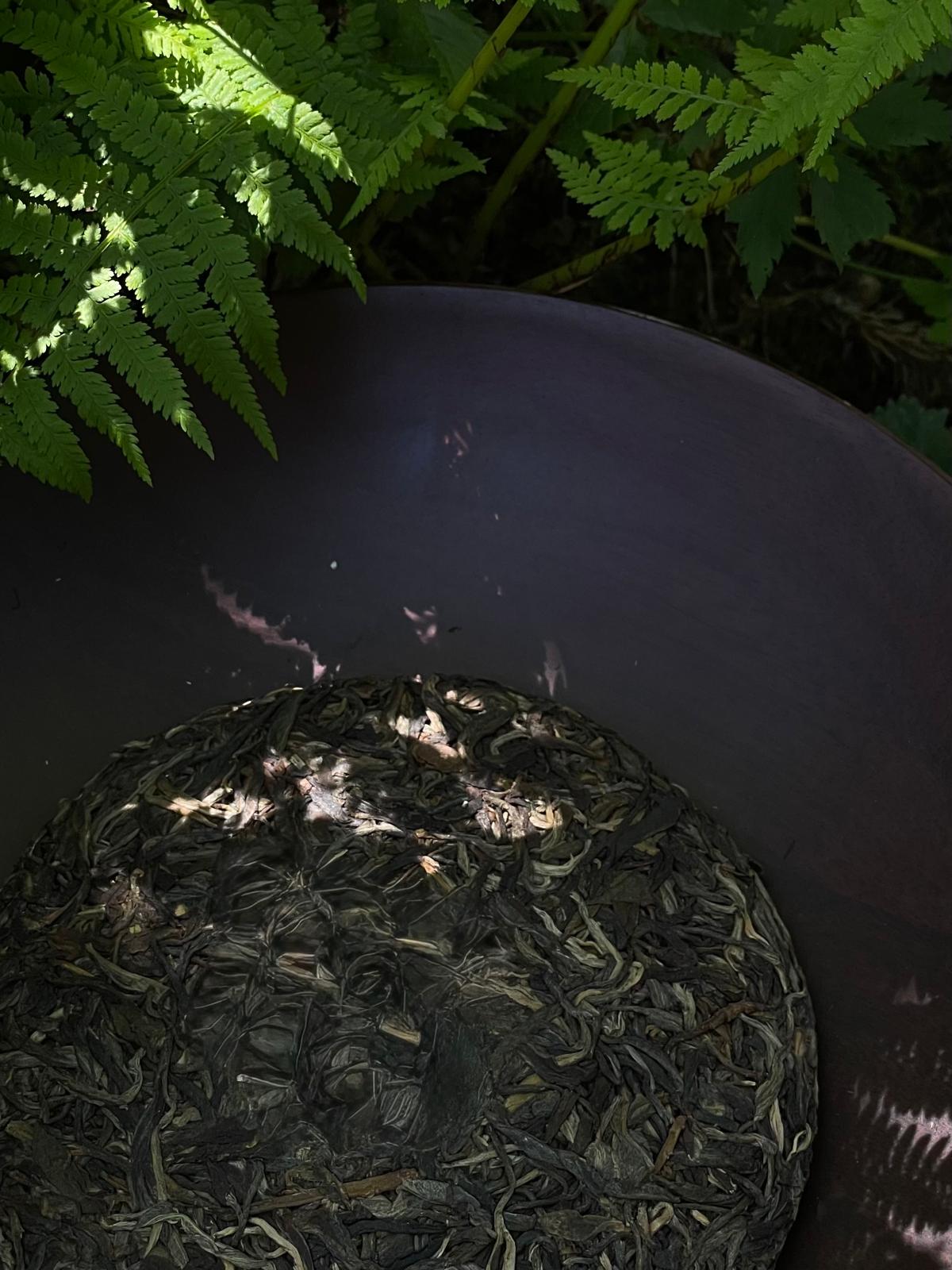 Pu Er Tee