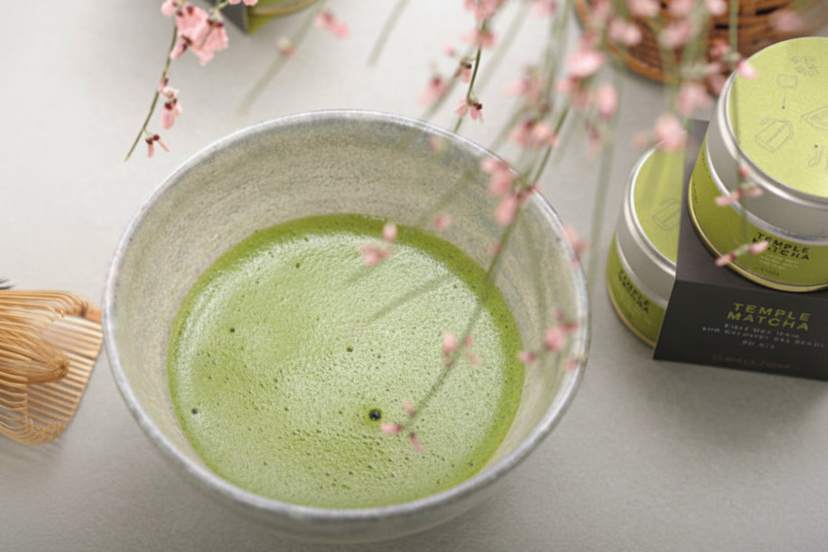 MATCHA - SEE ALL