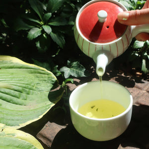 ASAGIRI CHA SENCHA