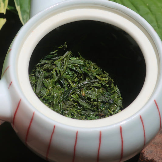 ASAGIRI CHA SENCHA