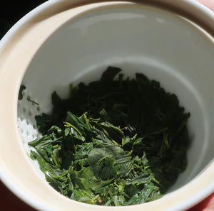 KI NO KAMI SENCHA