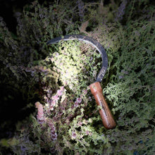 Lade das Bild in den Galerie-Viewer, COLD
