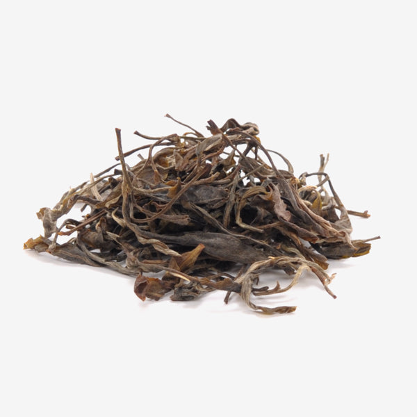 Pu Er Tee - wildwachsend