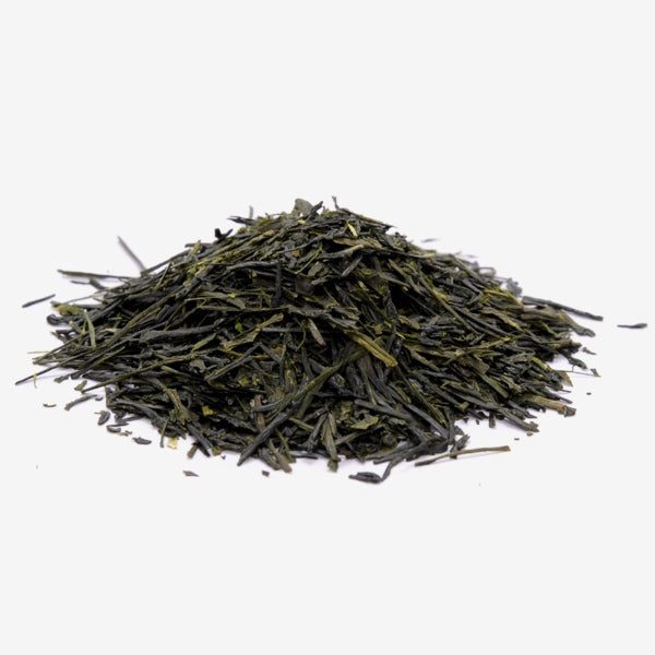 TUSHITA SENCHA